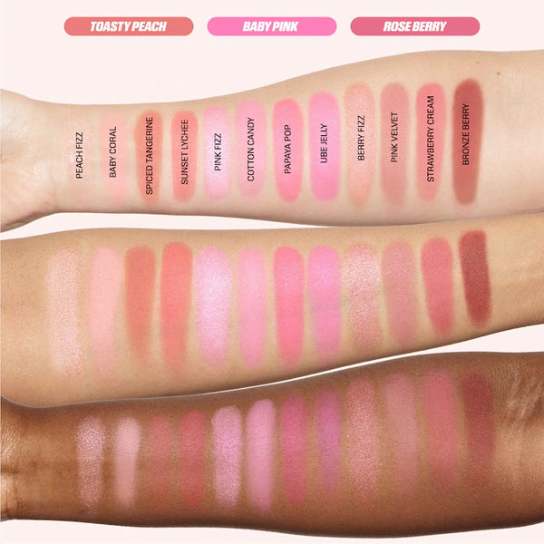 Blush Filter Palette