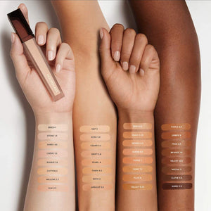 Vanish Airbrush Concealer